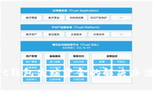 TokenPocket钱包失踪资金的解决办法与预防措施