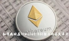 : 如何找回在TPWallet BSC链上