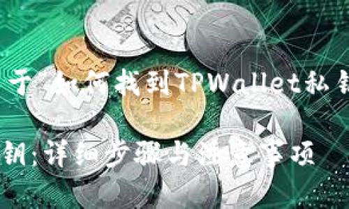 在这里，我提供一个关于“如何找到TPWallet私钥”的和相关内容大纲。

如何找到TPWallet私钥：详细步骤与注意事项