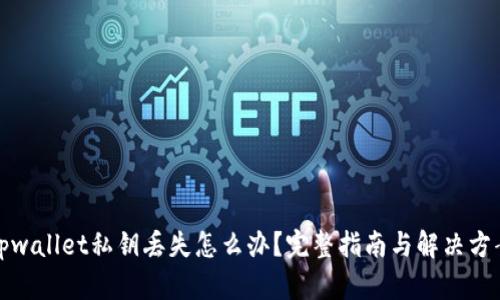 tpwallet私钥丢失怎么办？完整指南与解决方案