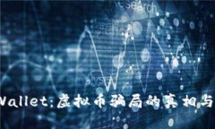 揭秘TP Wallet：虚拟币骗局