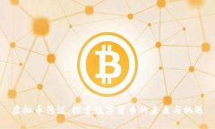 虚拟币传说：探索数字货