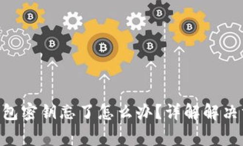 TokenPocket钱包密钥忘了怎么办？详解解决方法与注意事项