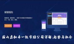 国内虚拟币一级市场公司