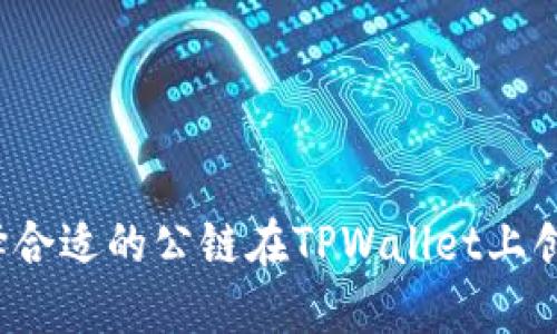 如何选择合适的公链在TPWallet上创建钱包？