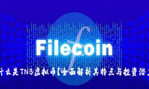什么是TNB虚拟币？全面解析其特点与投资潜力