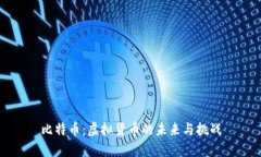 比特币：虚拟货币的未来