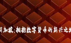 新加坡：拥抱数字货币的