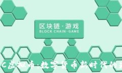   QUIC虚拟币：数字货币新