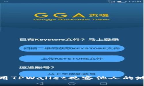 如何使用TPWallet观察他人的地址信息