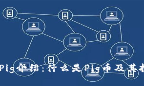 ## 虚拟币Pig介绍：什么是Pig币及其投资价值分析