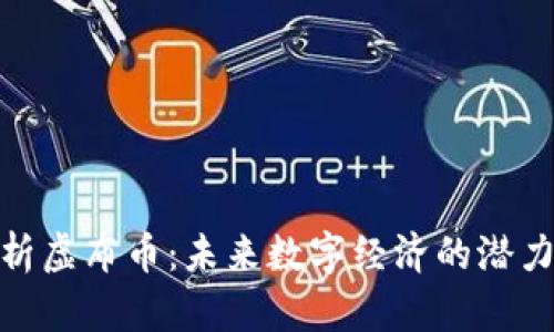 全面解析虚布币：未来数字经济的潜力与风险