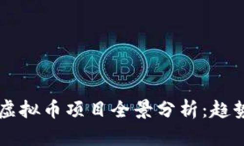 2023年国内虚拟币项目全景分析：趋势、挑战与未来