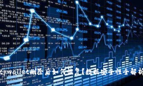 tpwallet删除后如何恢复？数据安全性全解析