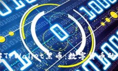 深入了解TPWallet黑币：数字