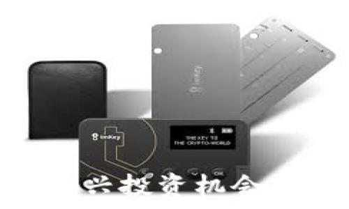   
SDGB虚拟币：新兴投资机会与市场潜力分析
