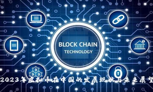 2023年虚拟币在中国的发展现状与未来展望