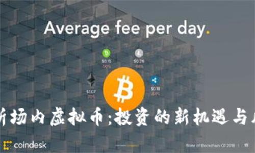 深入解析场内虚拟币：投资的新机遇与风险管理