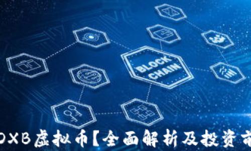 
什么是DXB虚拟币？全面解析及投资前景分析