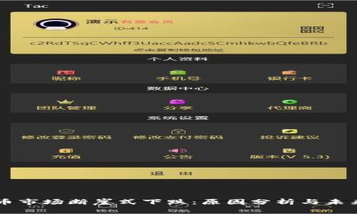 虚拟币市场断崖式下跌：原因分析与未来展望