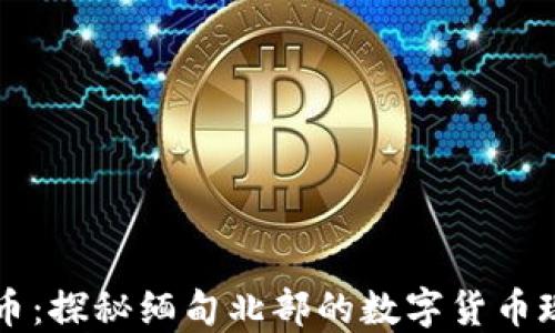 
缅北虚拟币：探秘缅甸北部的数字货币现状与未来