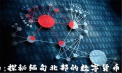 缅北虚拟币：探秘缅甸北
