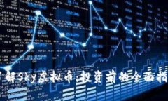了解Sky虚拟币：投资前的