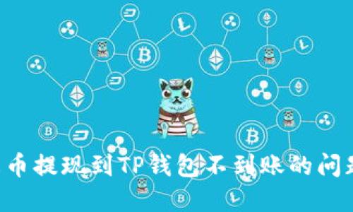 如何解决火币提现到TP钱包不到账的问题：详细指南