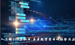 深入了解USD虚拟币：未来