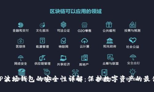 bias TP波场钱包的安全性详解：保护数字资产的最佳选择 