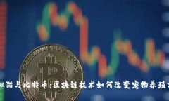 虚拟猫与比特币：区块链