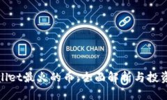 tpwallet最火的币：全面解析