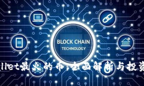 tpwallet最火的币：全面解析与投资指南