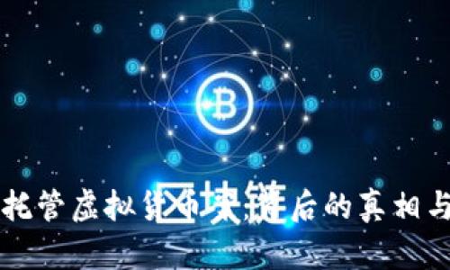 山东币海托管虚拟货币案：背后的真相与影响分析
