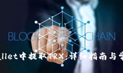 如何在TPWallet中提取TRX：详细指南与常见问题解答