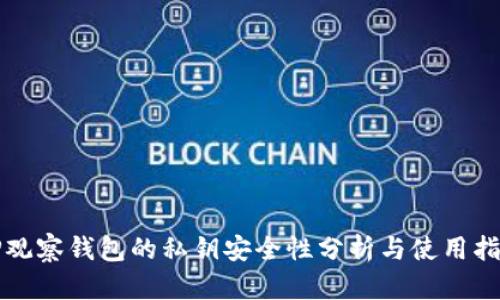 TP观察钱包的私钥安全性分析与使用指南