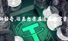 在这个快速变化的数字时