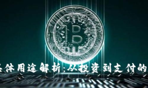 虚拟币的具体用途解析：从投资到支付的多元化应用