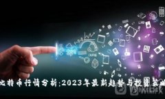 比特币行情分析：2023年最