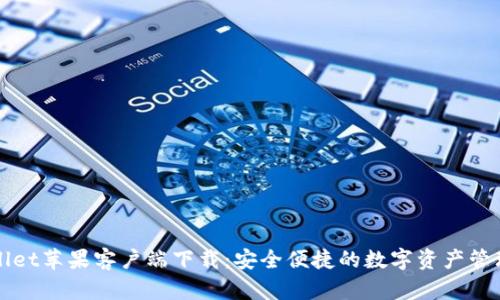 TPWallet苹果客户端下载：安全便捷的数字资产管理工具
