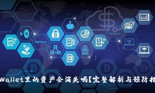 TPWallet里的资产会消失吗？完整解析与预防措施