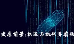 TPWallet未来发展前景：机遇