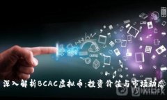深入解析BCAC虚拟币：投资