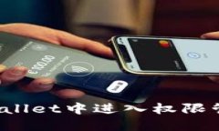 : 如何在TPWallet中进入权限