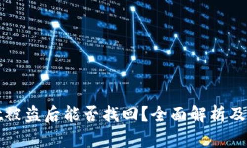 TPWallet被盗后能否找回？全面解析及应对措施