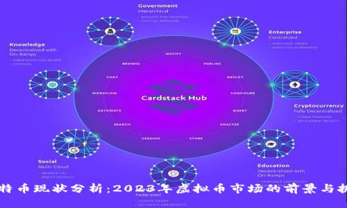 莱特币现状分析：2023年虚拟币市场的前景与挑战
