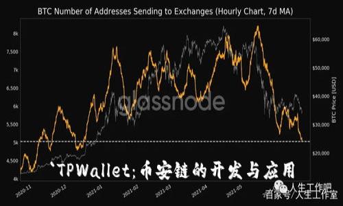 `TPWallet：币安链的开发与应用