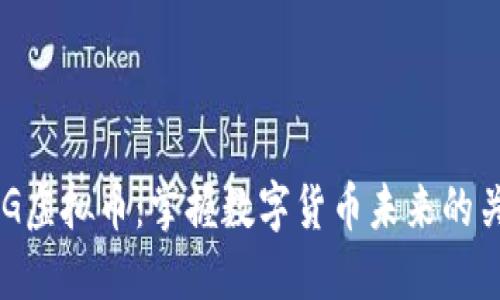 HMG虚拟币：掌握数字货币未来的关键