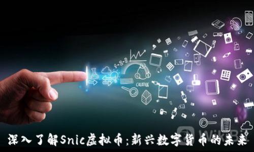   
深入了解Snic虚拟币：新兴数字货币的未来