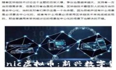   深入了解Snic虚拟币：新